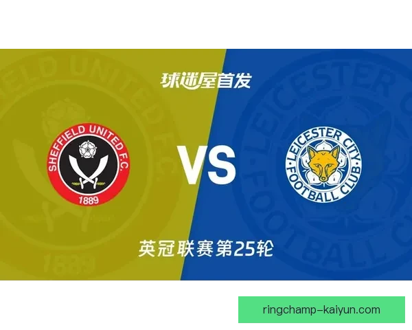 莱斯特城新赛季阵容深度解析，年轻才俊与经验战将共同发力值得关注